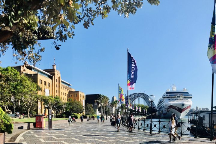 a group of people walking down a street next to a tree