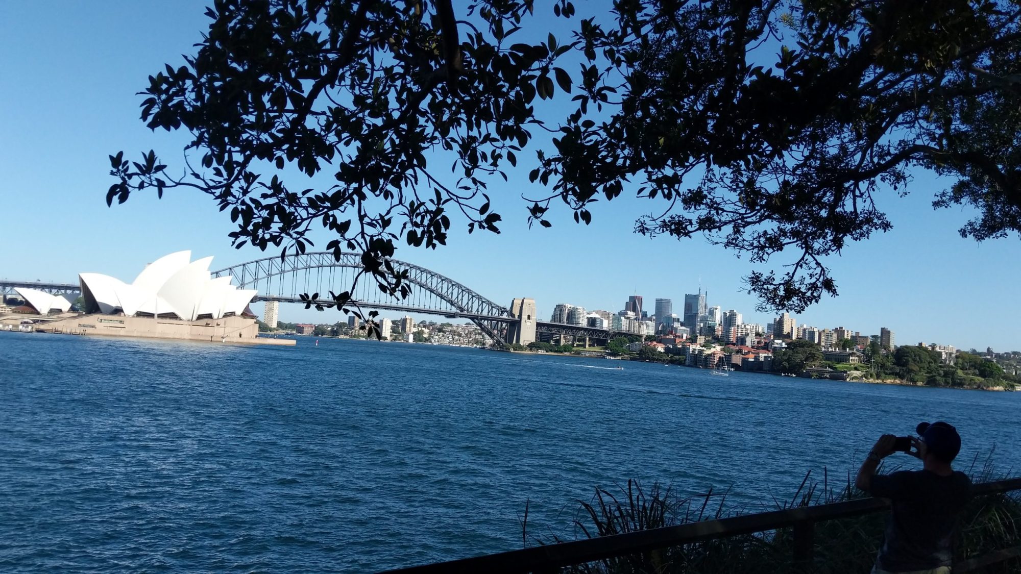 Sydney Opera House with Sydney Harbour Bridge a large body of water