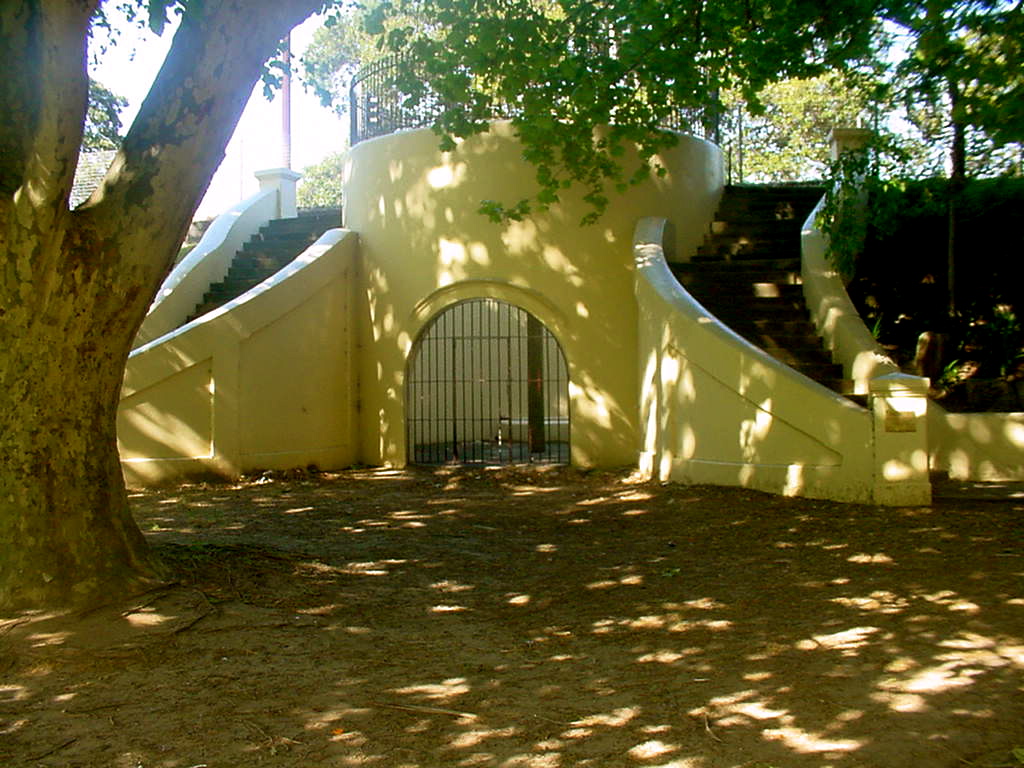 a vase of flowers on a tree