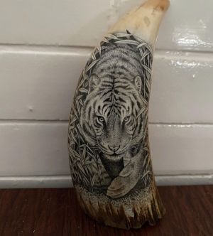 a cat that is looking at the camera