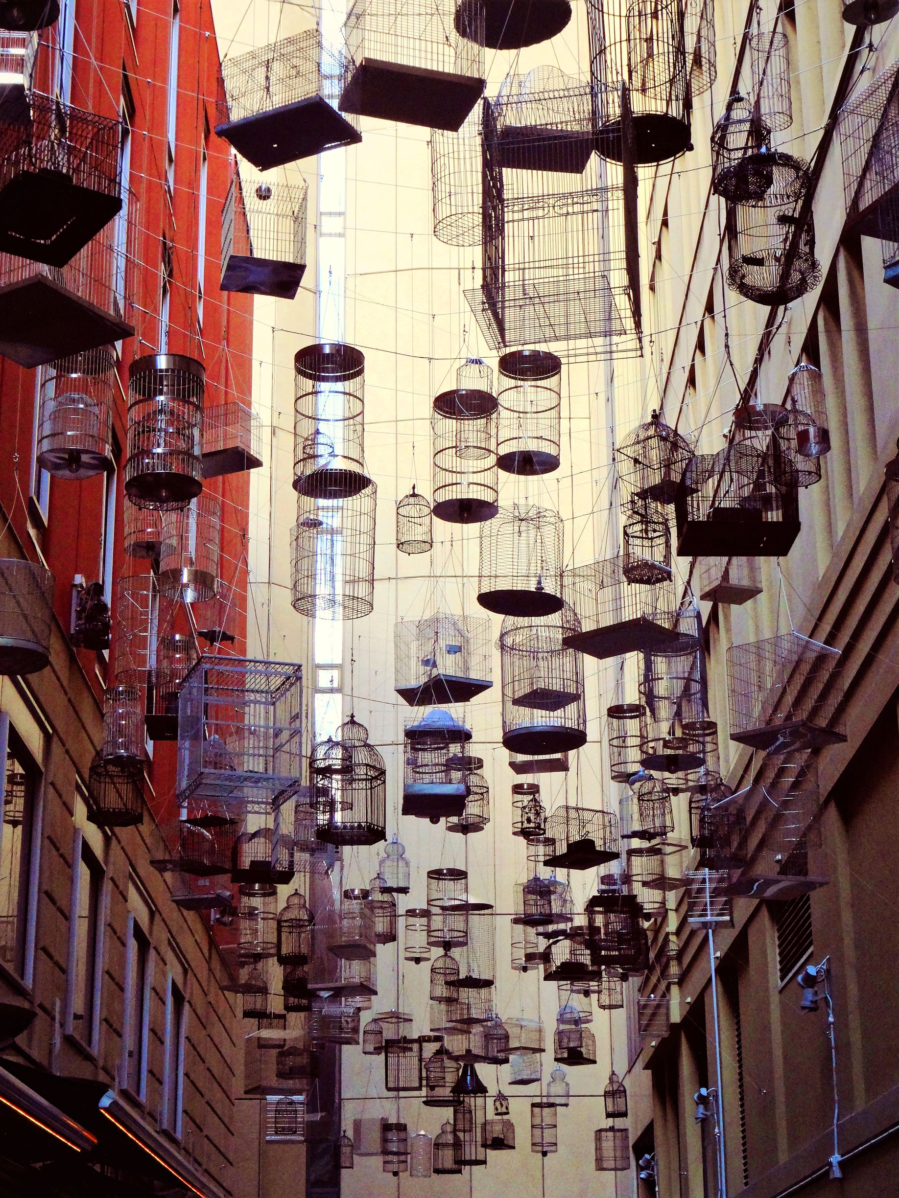 Bird Cages in Sydney city