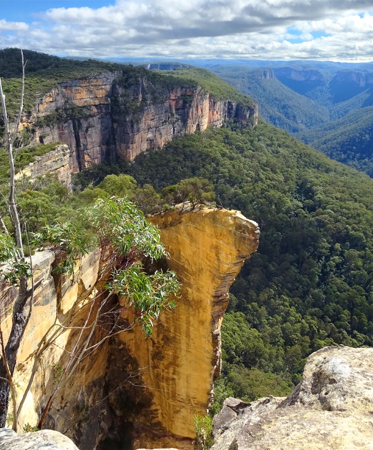 Hanging Rock, Blackheath, Blue Mountains a canyon with a mountain in the background