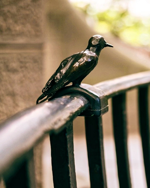City_of_Sydney_Distance_of_your_Heart_restoration-crop_Fotor2 a bird sitting on top of a wooden fence