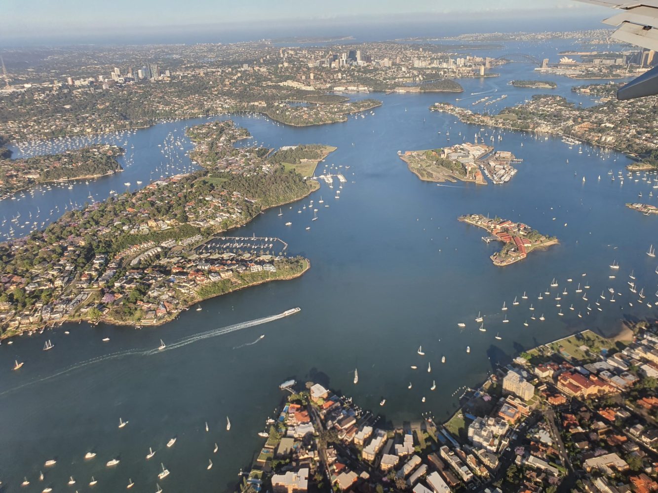 Sydney from the air