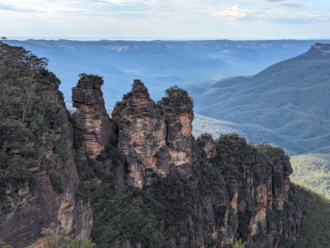 a tree with Three Sisters in the background