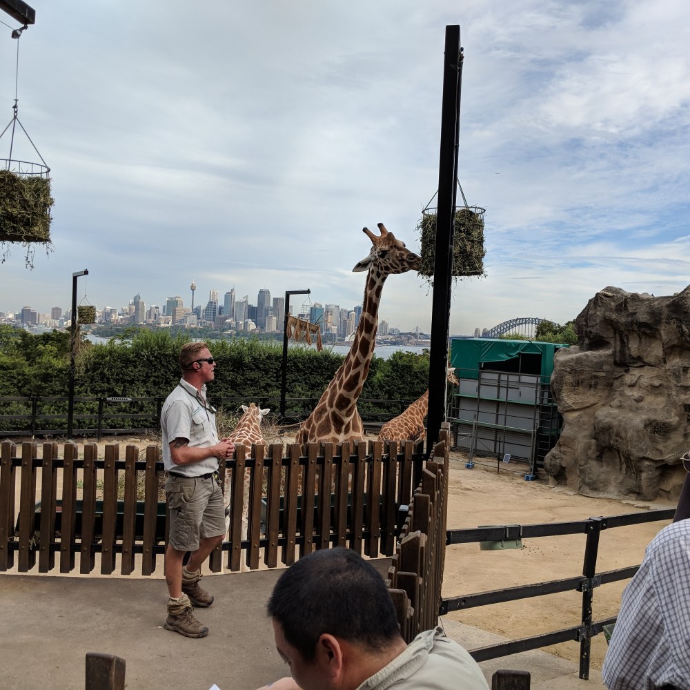 Taronga Zoo - a group of people standing on top of a wooden fence