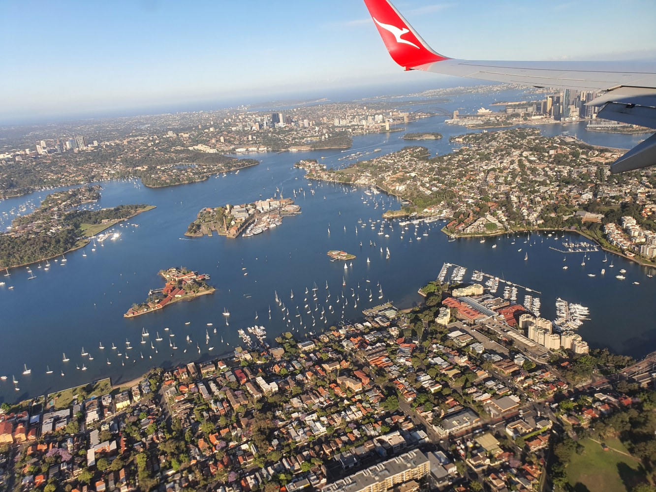 Sydney from the air